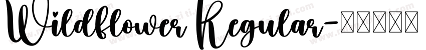 Wildflower Regular字体转换